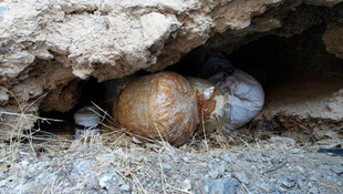 Hakkari'de terör operasyonu