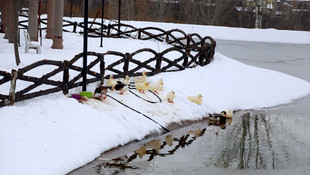 Isparta'da eğitime kar engeli