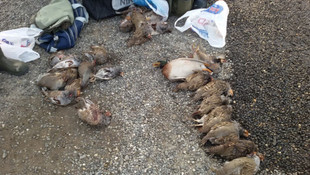 Kaçak avlanan 4 kişiye para cezası