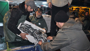 Karadeniz'de hamsi bereketi