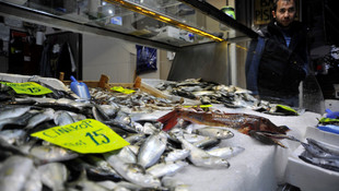 Karadeniz'in piranası çinekop yüz güldürüyor