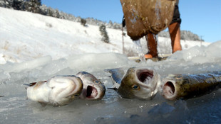 Kars'ta balık havuzları buz tuttu