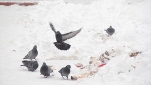 Kars'ta hava sıcaklığı gece eksi 26 derece ölçüldü