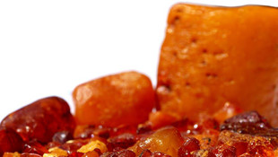 Çinde kehribar taşında 99 milyon yıllık dinozor fosil bulundu