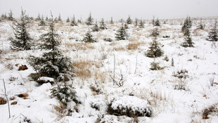 Mersin'de mevsimin ilk karı yağdı