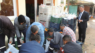 Mersin'de öğrencilere 7 ton mandalina dağıtıldı