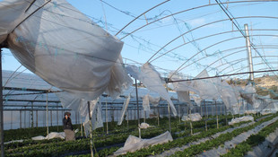 Mersin'deki fırtına