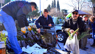 Muğla'da Ağaç Kesme Fidan Dik kampanyası