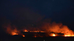 Muğla'da sazlık alanda yangını