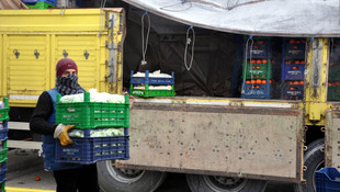 Muş Hali'nde sebze ve meyveler soğuktan dondu