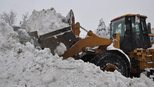 Muş'ta günde 700 kamyon kar taşınıyor