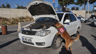 Narkotik köpeği Çıtır'ı acı biber bile yanıltamadı