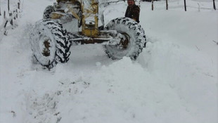 Ordu'da kar yağışı