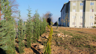 Sakarya ve Kocaeli'de 8 bin 253 fidan toprakla buluştu