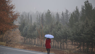 Şanlıurfa'da yoğun sis
