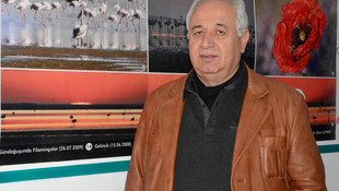 Seyfe Gölü'nde sığırcık şöleni