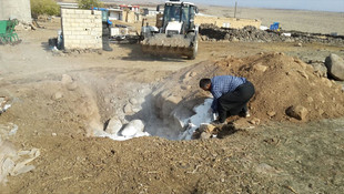 Şanlıurfa'da kuduz karantinası