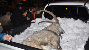 Tunceli'de kaçak avlanma