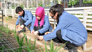 Üniversite öğrencilerinin yetiştirdiği bitkiler kampüste satılıyor