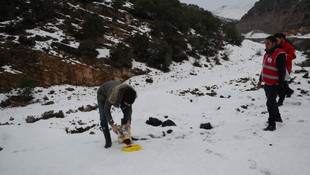 Yabani hayvanlar için doğaya yem bıraktılar
