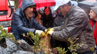Yeni Yıla Girerken Ağaç Kesmeyelim Fidan Dikelim