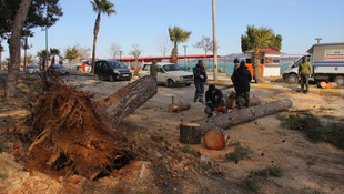 Adana'da şiddetli rüzgar