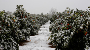 Antalya'da kar, kartpostallık görüntüler oluşturdu