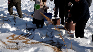 Ardahan'da yaban hayvanları için doğaya yem bırakıldı