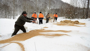 Bakanlık yaban hayvanlarını unutmadı