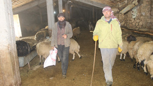 Besicilerin zorlu kış mesaisi