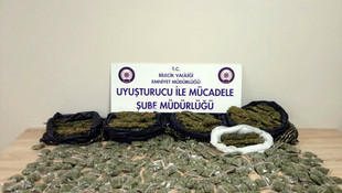 GÜNCELLEME - Bilecik'te uyuşturucu operasyonu