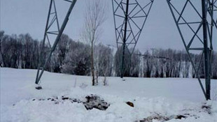 Bitlis'te el yapımı patlayıcı imha edildi