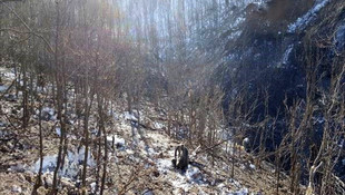 Bitlis'te terör operasyonu