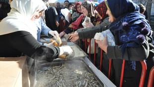 Bursa 3. Hamsi ve Kültür Festivali