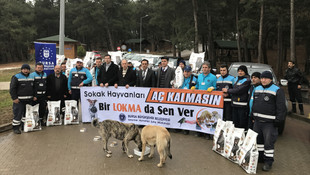 Bursa'da sokak hayvanlarına yem bırakıldı