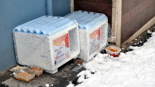 Can dostlarını evlendiriyorlar