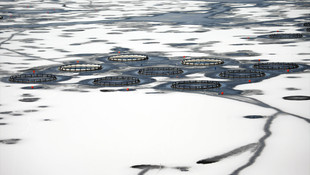 Çat Baraj Gölü, buz tuttu