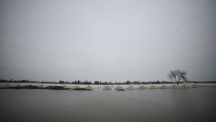 Çiftçiler selden kalan ürünlerini kurtarmaya çalışıyor