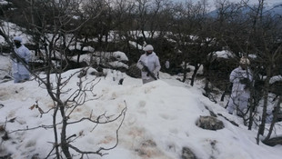 Diyarbakır'da terör operasyonu