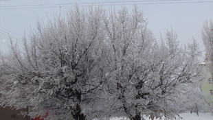 Doğu Anadolu'da soğuk hava