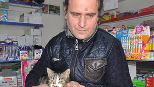 Dükkanının kapısını kedilere açtı