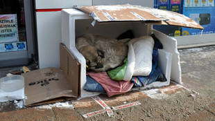 Eskişehir'de dondurucu soğukta yaşam