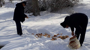 Esnaf ve zabıta yaban hayvanları için seferber oldu