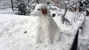 Evinin bahçesinde kardan hayvan figürleri yaptı