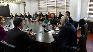 GAP'ın merkezinde zeytin atağı