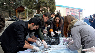 Gümüşhane'de Hamsi Şenliği