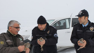 Iğdır'da keklik operasyonu