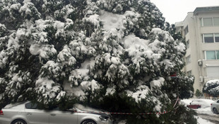 İstanbul'daki kar yağışı