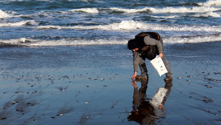 İstavrit ve hamsi kıyıya vurdu