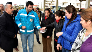 Kadın çiftçilere büyükbaş hayvan desteği